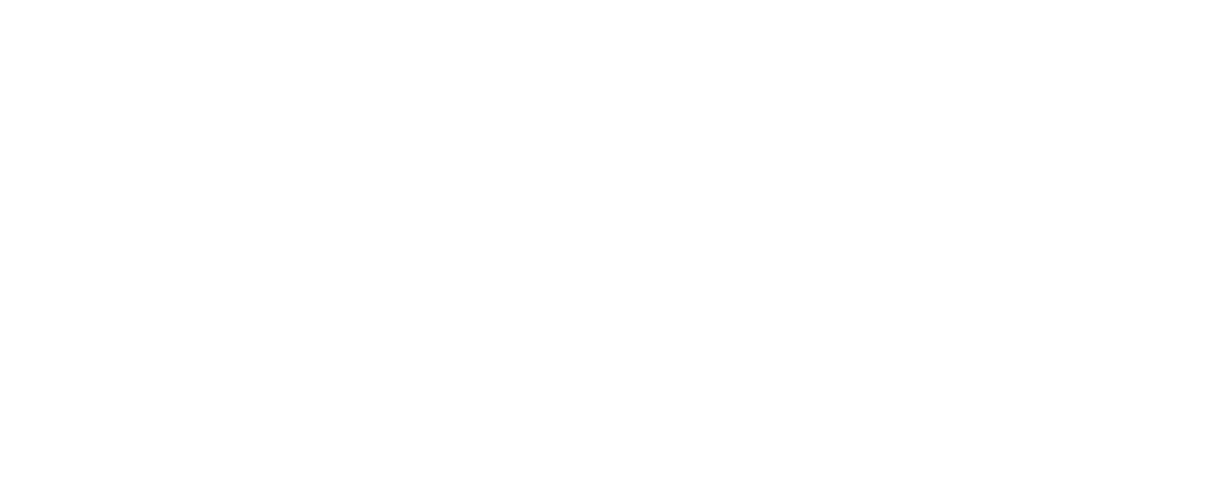 Lakeview Logo