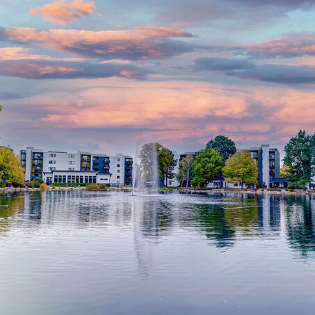 Lake with fountain in the middle and trees around the outside